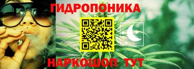 крисы Комсомольск-на-Амуре