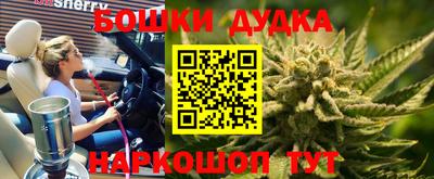 крисы Комсомольск-на-Амуре