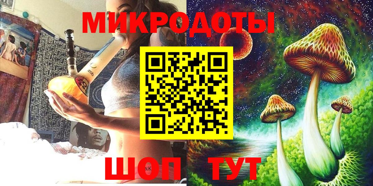 Псилоцибиновые грибы Psilocybine cubensis Удомля