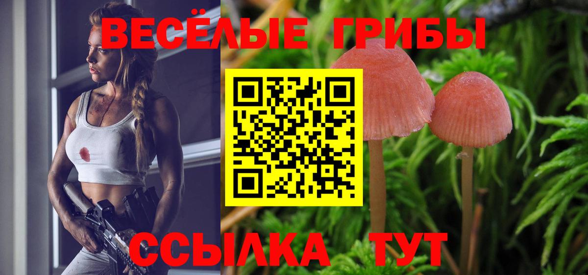 Удомля  Галлюциногенные грибы MAGIC MUSHROOMS  Вход с VPN 
